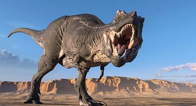 Dinozor iskeleti için : 6,2 milyon dolar