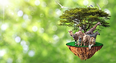 Görmezden gelinen sorun : Biyoçeşitlilik 