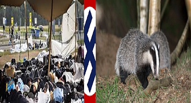 Hollanda'da hükümetin Porsuk ve Mülteci arasında zor seçimi