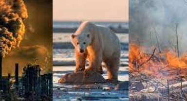 Çevre İçin Endişeliyiz Ama Çözüm İçin Başkası Uğraşmalı 