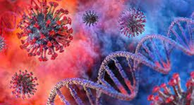 Covid-19 Salgını İlk İki Yılda 337 Milyon Yıllık İnsan Ömrünün Yol Açtı