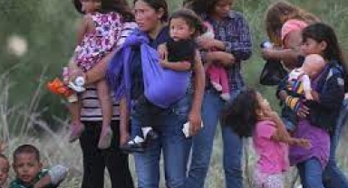 Meksika'da 49 Göçmen rehine kurtarıldı