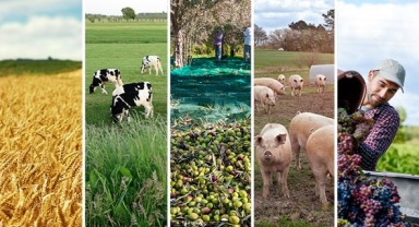 Tarım İhracatı rekor kırdı