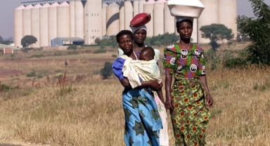  PUTİN AFRİKAYA TAHIL SOPASINI GÖSTERİYOR