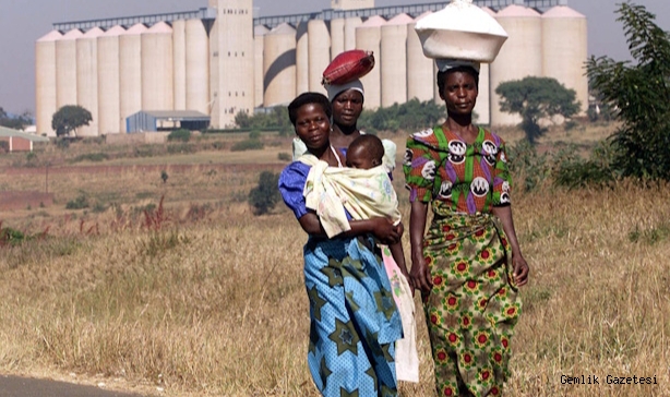 PUTİN AFRİKAYA TAHIL SOPASINI GÖSTERİYOR