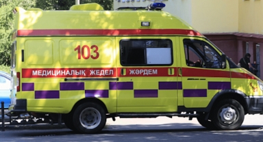 KAZAKİSTAN TÜRK ŞİRKETLERİNE ÇÖKÜYOR