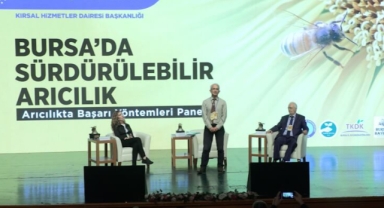 Bursa'da Arıcılık