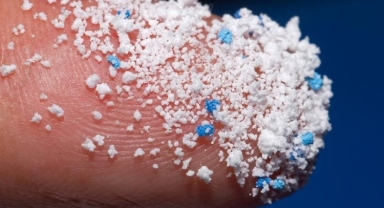 Mikroplastikler her yerde yaşamı tehdit ediyor!