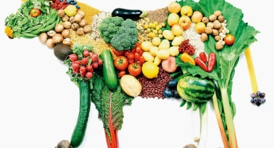 AB Adalet Divanı’ndan Kritik Karar: Vejetaryen Ürünler 