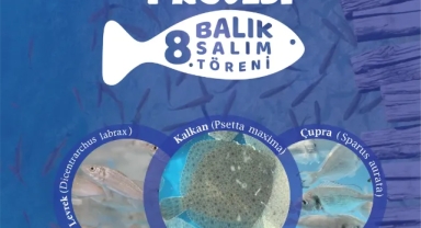  İzmit Körfezi’nde Deniz Canlılığı Artıyor: Büyükşehir’den 6 Bin Yeni Balık Salımı Daha