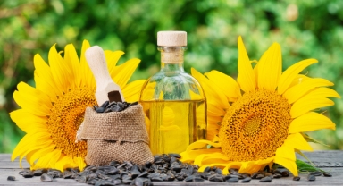  Ayçiçeği Üreticisini Sarsan Karar: Gümrük Vergisi Sıfırlandı