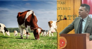  Edirne'de Sağlık Alarmı: Şarbon ve Çiçek Vakaları Artıyor