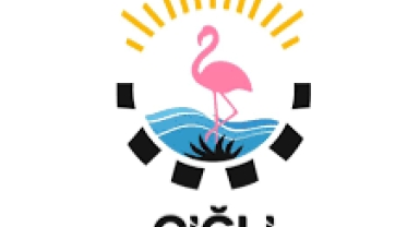 TUSAŞ'a saldıran teröristin güvenlik amiri olan ağabeyinin işine son verildi