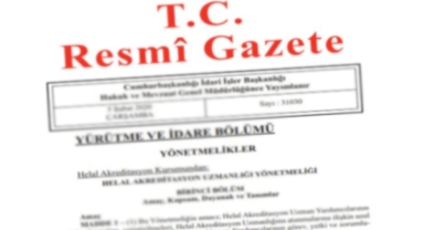 Resmî Gazete'den Önemli Başlıklar (07 Aralık 2024)
