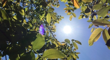 Türkiye Genelinde Sıcaklık Artışı Bekleniyor: Batıda Normallerin Üzerinde