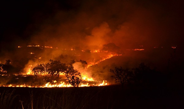 OGM’den Kritik Uyarı: Orman Yangını Riski Yükseldi